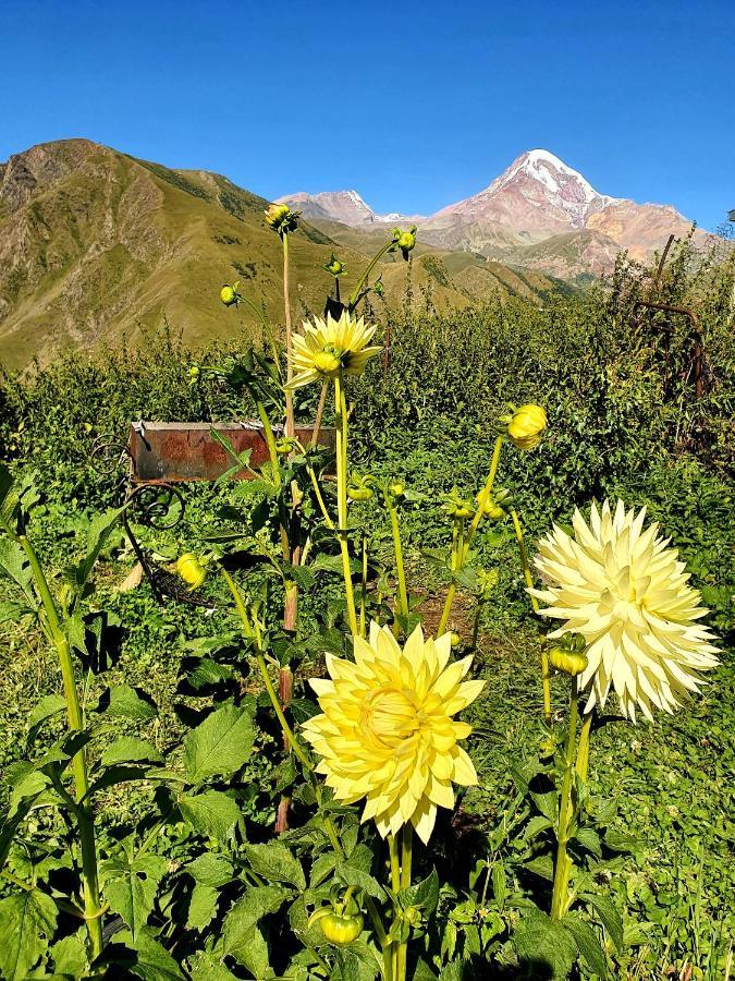 Nikolo Inn Kazbegi Extérieur photo